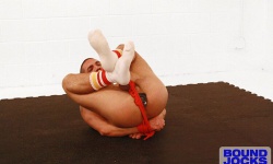 Hogtied Dominic Pacifico