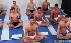 Project GogoBoy Episode #5: The Yoga Orgy