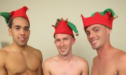 The 3 Naughty Elves