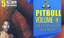 Pitbull: Deep Inside Yo Azz
