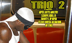 Trio 2
