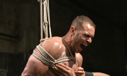 Brock Avery
