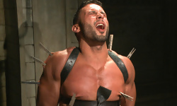 Diego Vena