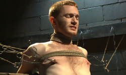 Seamus O'Reilly