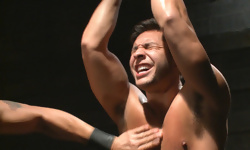 Seth Santoro