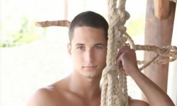 Dan Arlett