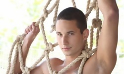 Dan Arlett