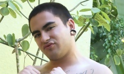Max Alamo