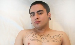 Max Alamo