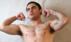 Max Alamo