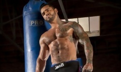 Alexsander Freitas