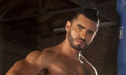 Alexsander Freitas