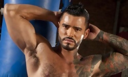 Alexsander Freitas