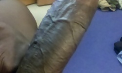 Big Black Cocks