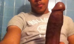 Big Black Cocks