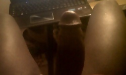 Horse Cocked Amateurs