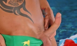Rod Dailys Poolside Pleasuring