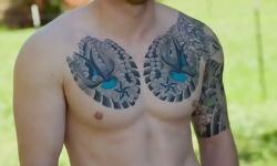 Levi Robinson