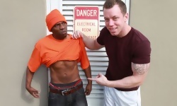 Orange You Glad You Got Tricked Out?