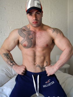 Max Hilton Strips
