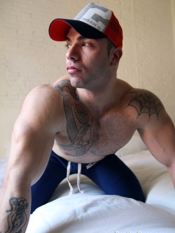 Max Hilton Strips