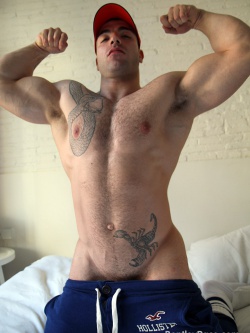 Max Hilton Strips