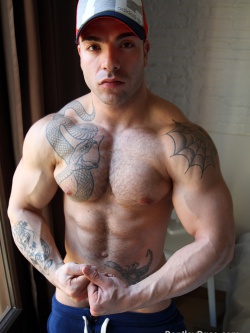 Max Hilton Strips