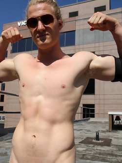 Shane Phillips Strips
