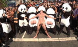 Panda Rapists