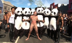 Panda Rapists