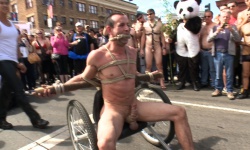 Panda Rapists
