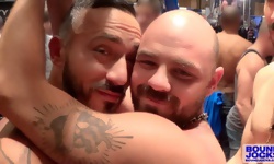 Alessio Romero, Rogue Status and Dolan Wolf