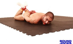 Hogtied Dominic Pacifico