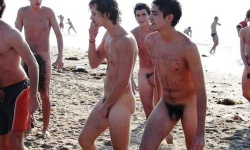 Beach Cocks