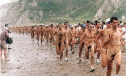 Beach Cocks