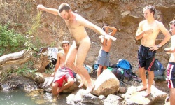 Cock Flashers 4