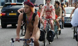 Public Displays Of Cock 2