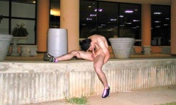Public Displays Of Cock 3