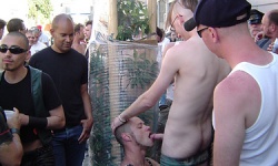 Public Displays Of Cock 3