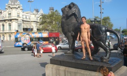 Public Displays Of Cock 3