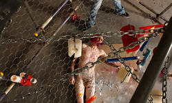 A Sadistic Trap For Twink Scott