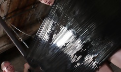 Pallet Wrapped