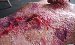 Reece Gets Waxed And Fed
