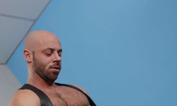 Bruno Fox