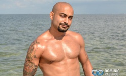Ari Gypsy