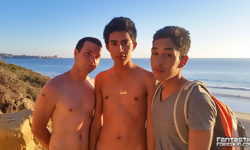 Damien, Joey and Cole