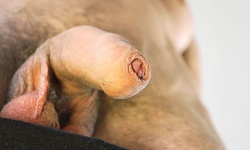 Ethan Roberts’ Toy Play