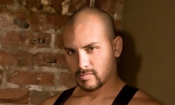 Fistpack 28