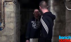 Rendezvous In the Basement