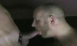 Hard Fucking German Studs 